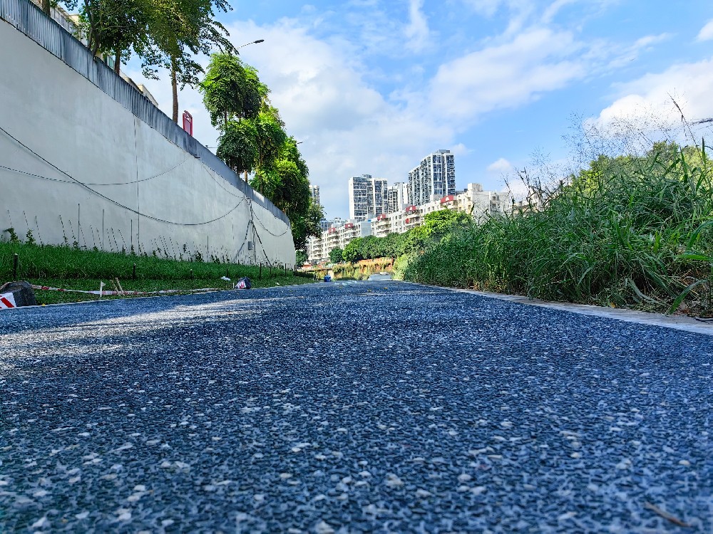 龍崗河萬里碧道—露骨料項目